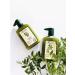 chi Olive Hair Conditioner Olive Organics Hair and Body - Buy Online on GoSupps.com