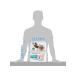 PERFECT FIT Adult cat food for skin and wool salmon 1.2 kg - Buy Online on GoSupps.com