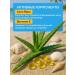 Face and body cream 50 ml SPF 90+ - Buy Online on GoSupps.com