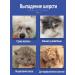 Air conditioning against molting for cats and dogs - Buy Online on GoSupps.com
