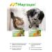 Apicenna Mirtatsen 1.88mg Correction of food behavior of dogs of cats 10t - Buy Online on GoSupps.com