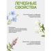 Laxative herbal collection intestines without constipation-1 - Buy Online on GoSupps.com