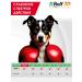 Rolf Club 3D Rolf drops from ticks and fleas for dogs 4-10 kg 1ml 3 pipettes - Buy Online on GoSupps.com