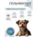 Gelmintal Antigelmine syrup for dogs less than 10 kg 10 ml - Buy Online on GoSupps.com