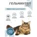 Gelmintal Antigelmine syrup for cats more than 4 kg 5 ml - Buy Online on GoSupps.com
