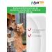 Rolf Club 3D Rolf shampoo from ticks and fleas for cats and dogs 200 ml - Buy Online on GoSupps.com