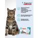Neoterica Inspector Quadro to a drop for puppies 4-8 kg (3 pipettes) - Buy Online on GoSupps.com