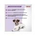 Neoterica Inspector Quadro from dog drops 10-25 kg (1 pipette) - Buy Online on GoSupps.com