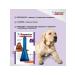 Neoterica Inspector Quadro from dog drops 10-25 kg (1 pipette) - Buy Online on GoSupps.com
