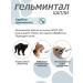 Gelmintal Antigelmar drops on a cat for cats less than 4 kg 1 pipette - Buy Online on GoSupps.com