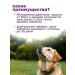 Zoetis Simeparika for dogs from 5.1 to 10 kg - Buy Online on GoSupps.com