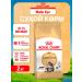 ROYAL CANIN Dry food for the breed Maine Kun 2 kg