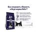 Dry food for cats Felix 10 kg with meat - Buy Online on GoSupps.com