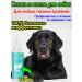 Drops for the eyes for cats and dogs conjunctivitis 180 ml
