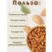 Almonds fried purified large 500g - Buy Online on GoSupps.com