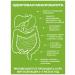 biolite Pro -Sanatio Phytosanation Program detox gastrointestinal tract and Argo liver - Buy Online on GoSupps.com