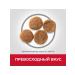 HILL'S Hills Perfect Weight food for medium dogs chicken 12kg - Buy Online on GoSupps.com