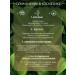 DIV fees Shepherd's bag grass - Buy Online on GoSupps.com