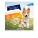 Bayer Antiparasitar for dogs 10-25kg 3P*2.5ml - Buy Online on GoSupps.com