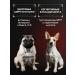 cosmodog Feed for dogs of small breeds of dry 5 kg lambs with a probiotic - Buy Online on GoSupps.com