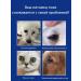 Eye drops from slab paths for cats and dogs - Buy Online on GoSupps.com