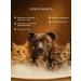 LUIR Container shampoo for washing dogs and cats Gruming effect - Buy Online on GoSupps.com
