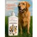 LUIR Container shampoo for washing dogs and cats with chlorhexidine - Buy Online on GoSupps.com