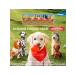 Elanco Advantics drops from fleas for dogs for dogs 10-25 kg 4 pipettes - Buy Online on GoSupps.com