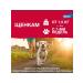 Elanco Advantics drops from fleas for dogs for dogs 10-25 kg 4 pipettes - Buy Online on GoSupps.com