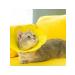 LOVING LAND Protective veterinary collar for cats and dogs - Buy Online on GoSupps.com