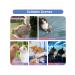 10pcs disposable diapers with an elastic waist of dogs of dogs - Buy Online on GoSupps.com