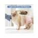 10pcs disposable diapers with an elastic waist of dogs of dogs - Buy Online on GoSupps.com