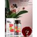 Health and beauty of Siberia Dino Vitamino berry syrup with vitamins and minerals - Buy Online on GoSupps.com