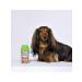 AVZ Animal Health Zoohampy four with ponytail for cats - Buy Online on GoSupps.com
