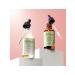 Mielle Organics Rosemary oil for hair growth - light - Buy Online on GoSupps.com