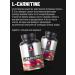 SportLine Nutrition L-carnitine fat burner L-Carnitine 500 mg 125 caps - Buy Online on GoSupps.com