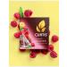 Curtis Herbal Summer Berries 20 Pyramids 34g 8pcs - Buy Online on GoSupps.com