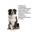 Rolf Club 3D 3D R434 collar for dogs of medium breeds from ticks fleas 65cm - Buy Online on GoSupps.com