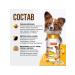 Neoterica Vitamins with beer yeast for small dogs 100 tab - Buy Online on GoSupps.com