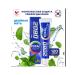 Toothpaste 2080 double mint 125 grams