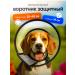 Veterinary protective collar for dogs No. 2
