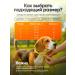 Veterinary protective collar for dogs No. 2 - Buy Online on GoSupps.com