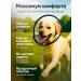 Veterinary protective collar for dogs No. 2 - Buy Online on GoSupps.com