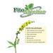 PHYTOAPTHECARIAN Ordinary Grass Trush 1 kg - Buy Online on GoSupps.com