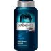 Stylist Shampoo protection against dandruff for men cleansing 400 ml
