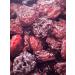 Rusovo Podvorye Cranberry 200 g dried natural - Buy Online on GoSupps.com