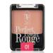 TRIUMPH TF Perfect Powder Rouge Face Ton 01