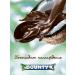 Bounty chocolate bar 32 pcs 55 grams - Buy Online on GoSupps.com