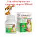 Farmavit Active Vitamins for dogs Beauty and health of wool 90 tablets
