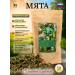 Herbs of Life Mint